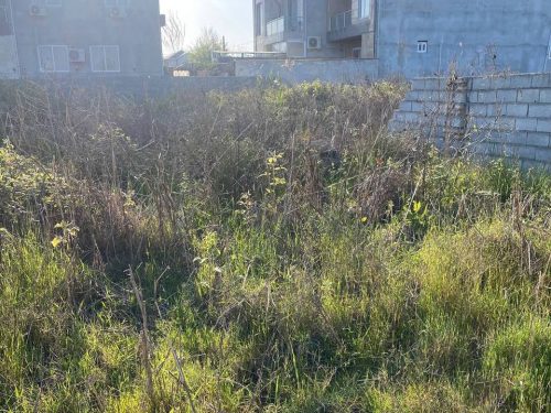 photo_2024-05-12_16-09-32