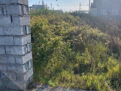 photo_2024-05-12_16-26-59