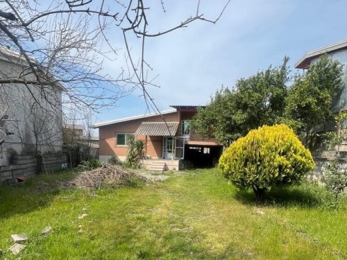 photo_2024-05-12_17-07-57